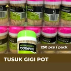 Bamboo Toothpick ION 1 DUS 320 POT 1